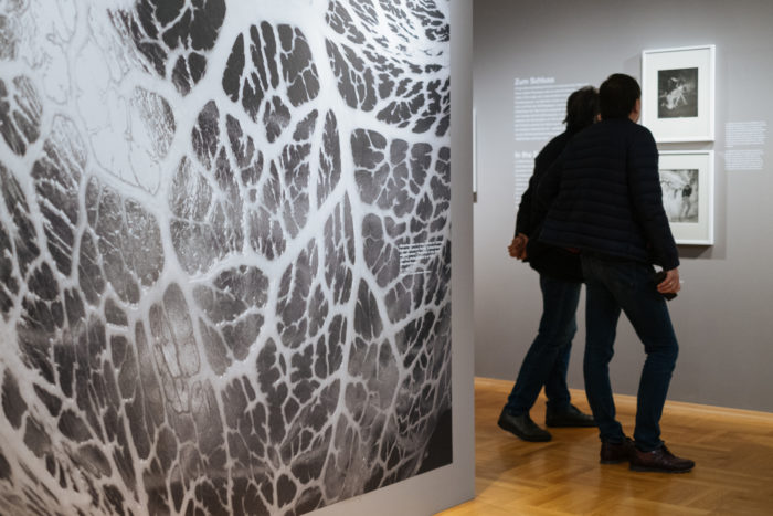 Zwei Personen betrachten gerahmte Kunstwerke in einer Galerie, auf denen Der große Bruch als plakative Wandgestaltung zu sehen ist.
