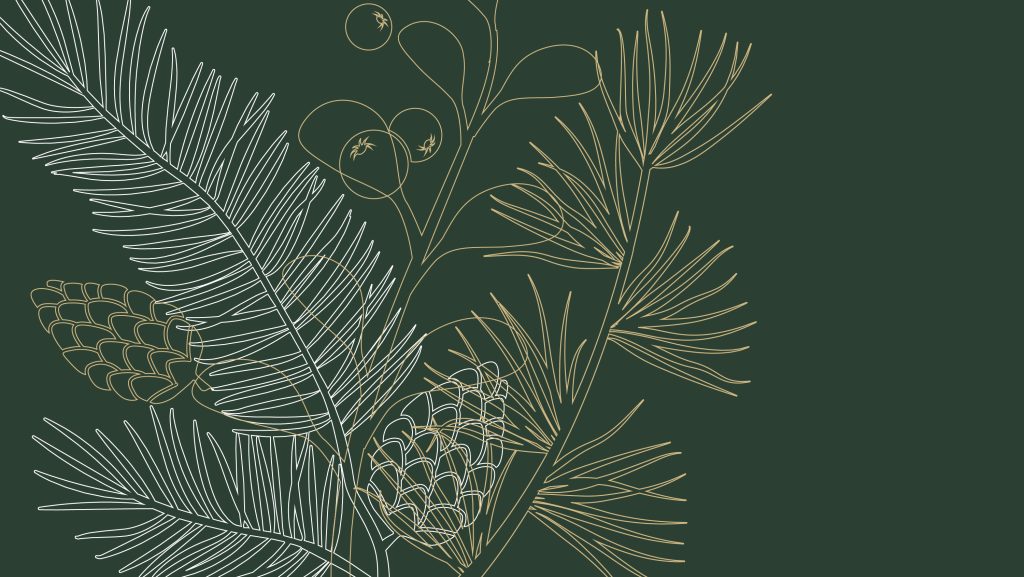 Linienkunst aus Tannenzweigen, Zapfen und Beeren - perfekt für eine Weihnachtspunsch-Veranstaltung im Graz Museum.