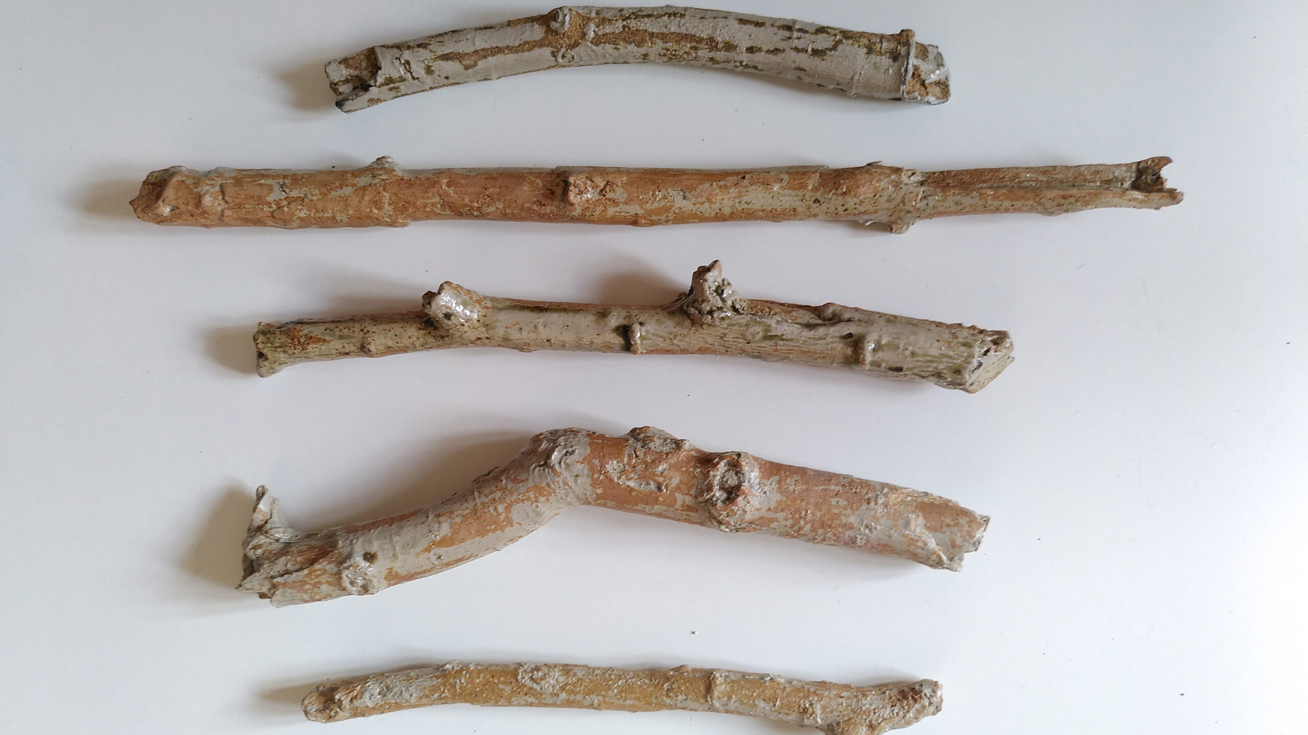 Fünf horizontal angeordnete trockene Äste, die an Erinnern erinnern, auf weißem Hintergrund.