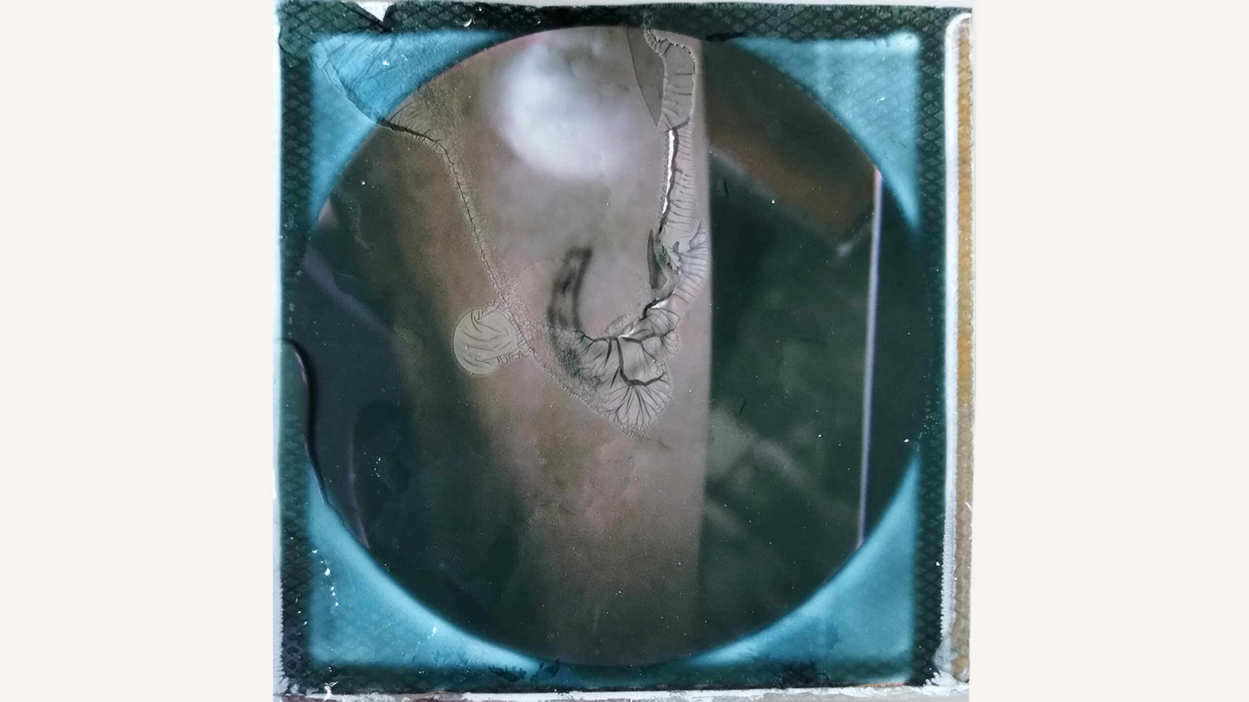 Ein rundes, bläulich getöntes Foto zeigt einen dünnen Ast mit einer gewundenen Schnur bei „musikprotokoll Cherven“.